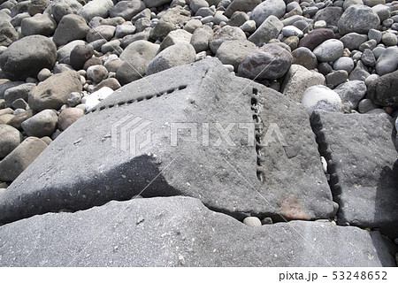 志津摩海岸に残る矢穴石 53248652