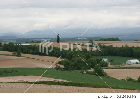 田園風景 53249368