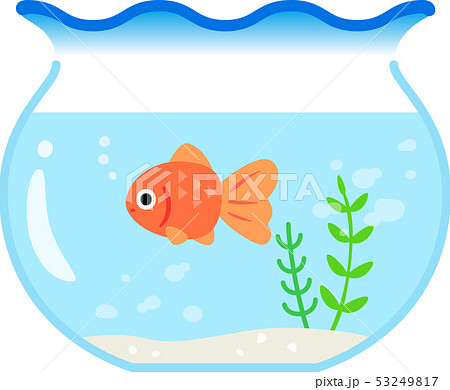 金魚鉢の中の金魚のイラスト素材