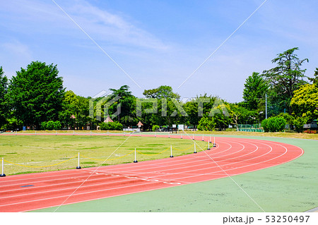 陸上競技場 53250497
