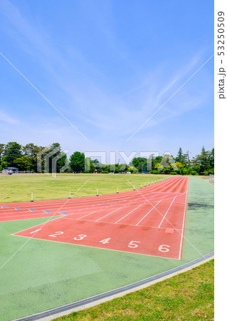 陸上競技場 53250509
