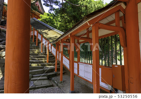島根県出雲　日御碕神社　楼門 53250556