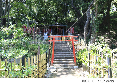 東京　増上寺　稲荷大明神 53250649