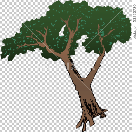 浮世絵 松 その3 浮世絵 松 その3 53250720