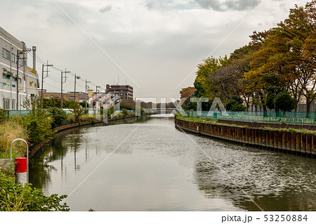 埼玉県草加市瀬崎 谷塚 毛長堀 毛長川 水面 秋 昼間 横 埼玉県草加市瀬崎 谷塚 毛長堀 毛長川 水面 秋 昼間 横 53250884