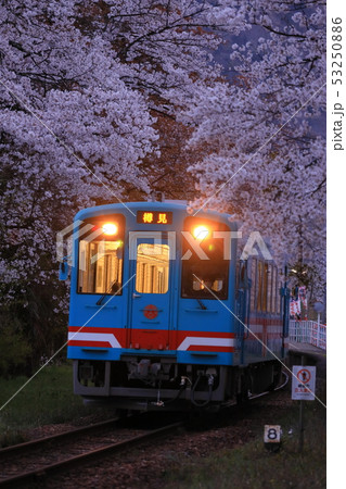 桜並木に包まれた駅を出発する黄昏時のローカル列車 桜並木に包まれた駅を出発する黄昏時のローカル列車 53250886