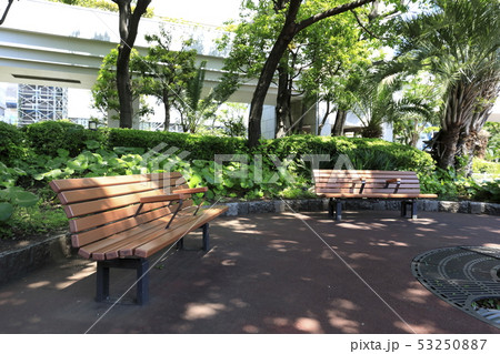 公園 ベンチ みどり 公園 ベンチ みどり 53250887