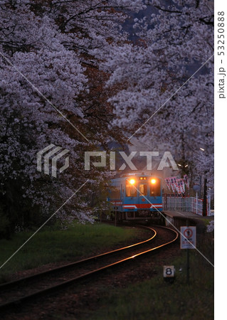 桜並木に佇む夕暮れ時のローカル駅 53250888