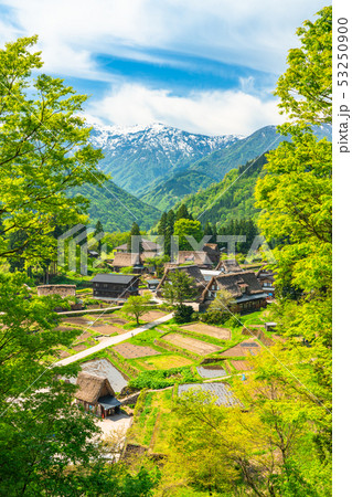 《富山県》相倉合掌造り集落・新緑シーズン 53250900