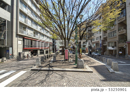 東京都港区麻布十番のパティオ十番 53250901