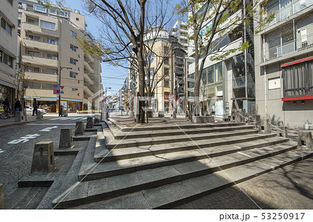 パティオ十番 53250917