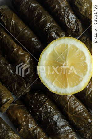stuffted grape leaves with rice stuffted grape leaves with rice 53251795