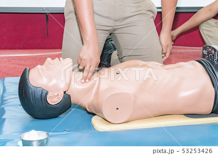 CPR aid dummy medical training with hand press 53253426