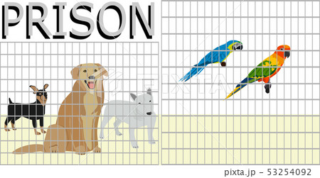 Pets that are locked in a cage by people Pets that are locked in a cage by people 53254092