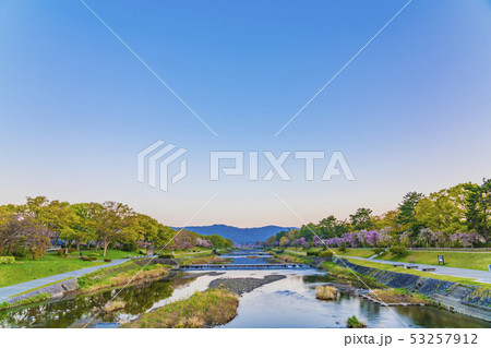 京都　春の半木の道　 53257912