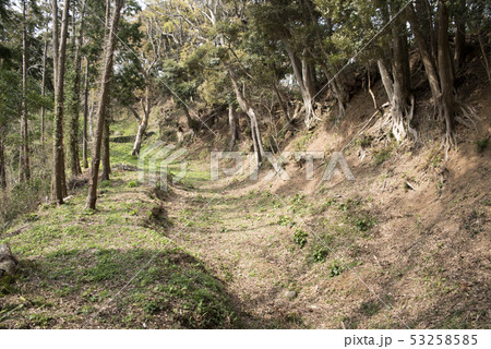 下田城跡　空堀 53258585