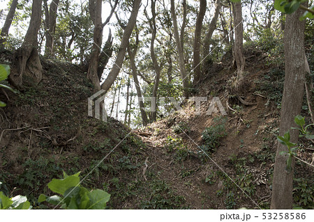 下田城跡　堀切 53258586