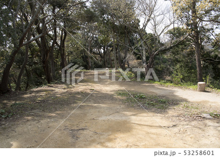 下田城 伝天守台跡 下田城 伝天守台跡 53258601