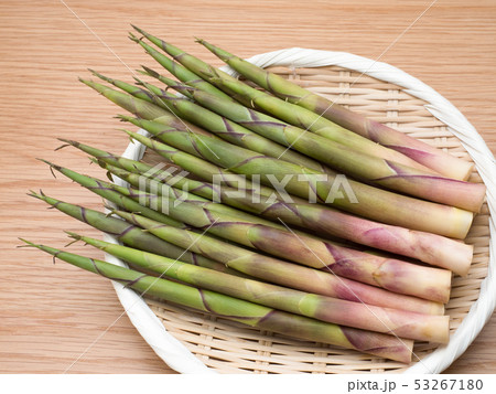 生の月山筍 53267180