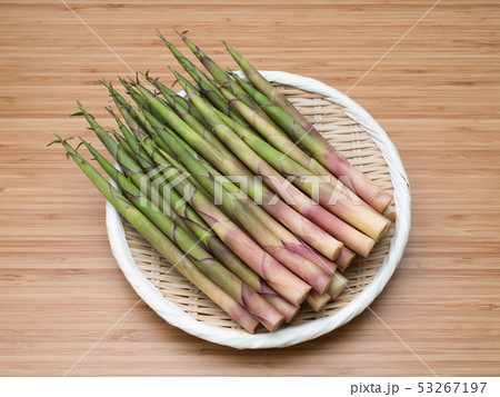 生の月山筍 生の月山筍 53267197