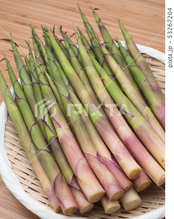 生の月山筍 53267204