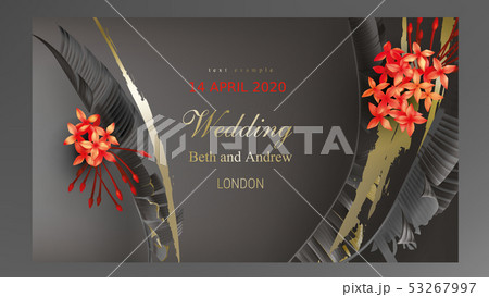 Tropical black and gold leaves on dark background 53267997