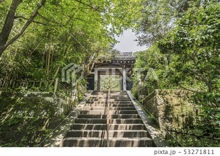 円覚寺塔頭　黄梅院山門（鎌倉市山ノ内） 53271811