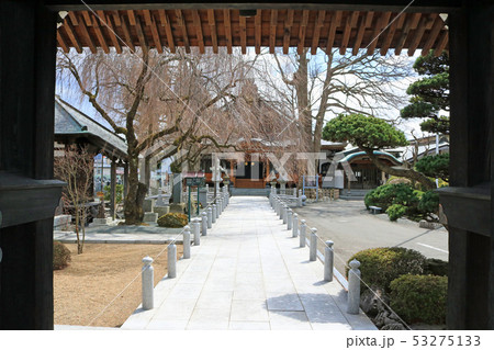 紫雲山円光寺の山門から本堂を望む 紫雲山円光寺の山門から本堂を望む 53275133