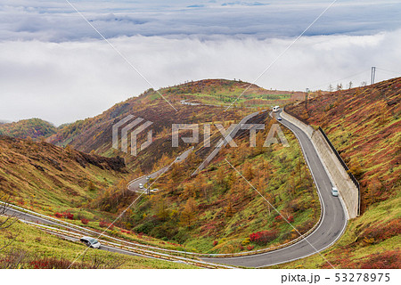 Beautiful autumn scenery at Kusat Shiga Kogen road 53278975