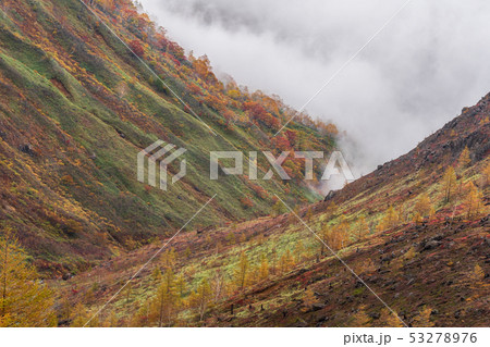Beautiful autumn scenery at Kusat Shiga Kogen road 53278976