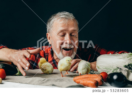 emotional granfather having fun with chickens on the table emotional granfather having fun with chickens on the table 53283605