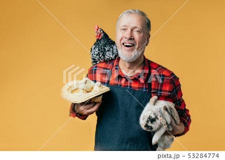 old man enjoys the company with a hen, rabbit and chickens old man enjoys the company with a hen, rabbit and chickens 53284774