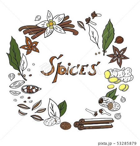 Vector hand drwan spices wreath isolated on white 53285879