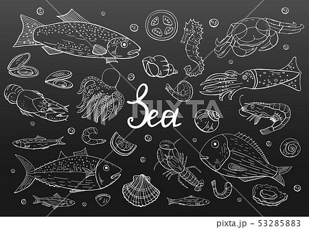 Hand drawn vintage seafood set on black backround. 53285883