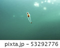 クリオネ　 53292776