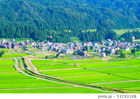 夏の農村風景 (7月) 夏の農村風景 (7月) 53293108