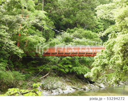 東吉野 東吉野 53294272