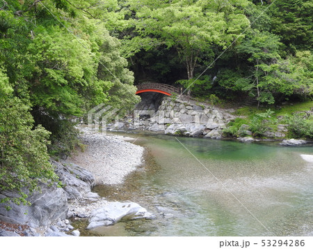 東吉野 東吉野 53294286