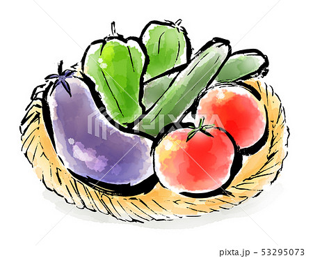 筆描き 食品 夏野菜のイラスト素材