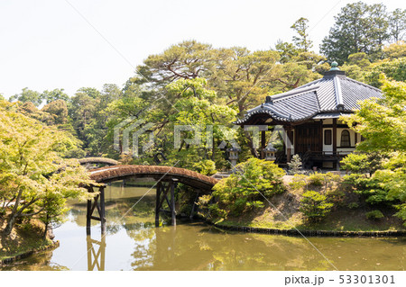 新緑の日本庭園(桂離宮) 53301301