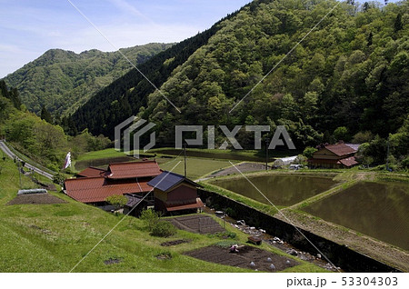 農作業　畑仕事　水田　里山風景　鯉のぼり　青空 53304303