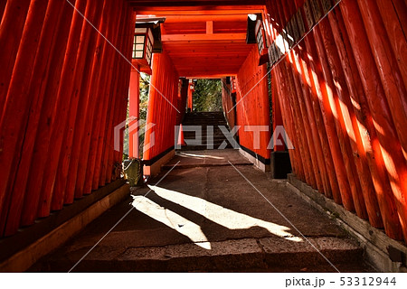 太鼓谷稲成神社 島根県津和野町 秋 太鼓谷稲成神社 島根県津和野町 秋 53312944
