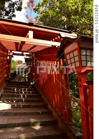 太鼓谷稲成神社 島根県津和野町 秋 太鼓谷稲成神社 島根県津和野町 秋 53312958