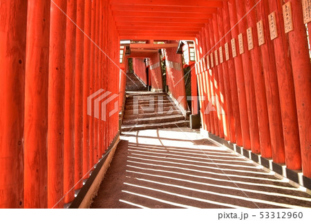 太鼓谷稲成神社 島根県津和野町 秋 太鼓谷稲成神社 島根県津和野町 秋 53312960