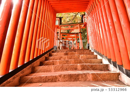 太鼓谷稲成神社　島根県津和野町　秋 53312966