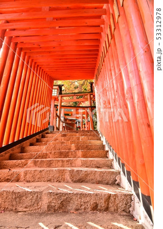 太鼓谷稲成神社　島根県津和野町　秋 53312978