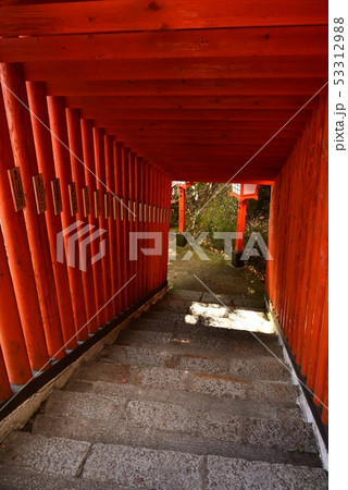 太鼓谷稲成神社　島根県津和野町　秋 53312988