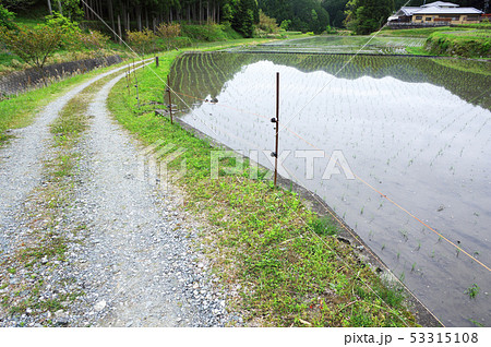 田植えの終わった山の田 田植えの終わった山の田 53315108