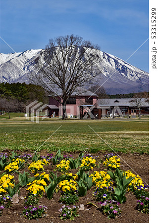 小岩井農場 小岩井農場 53315299