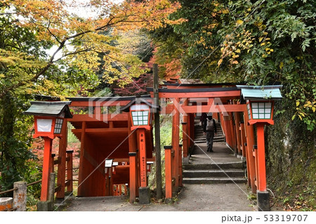 太鼓谷稲成神社 島根県津和野町 秋 太鼓谷稲成神社 島根県津和野町 秋 53319707